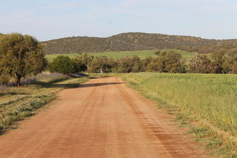 Northbrook Farmstay - Travel Agents 2