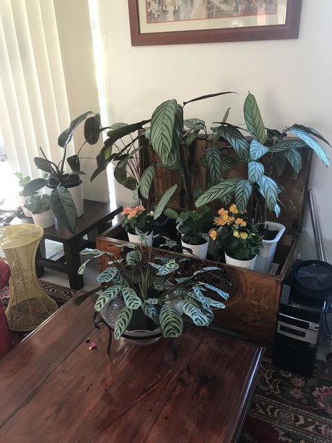 Not Quite The Ritz - Tourism Guide 1