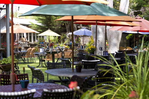 Oakdene Vineyards Guesthouse - Cruises Travel 0