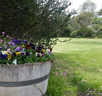 Padthaway Caravan Park - Tourism Guide