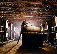 Pieter van Gent Winery  Vineyard - Cruises Travel