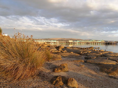 Port Lincoln Holiday Houses - Cruises Travel 3