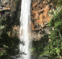 Purling Brook Falls Gwongorella - Travel Agents