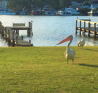 Riverfront Getaway - Mannum - Cruises Travel