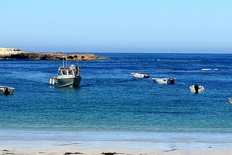 Rocks Retreat Cabin 3 - Lobster - Tourism Guide 2