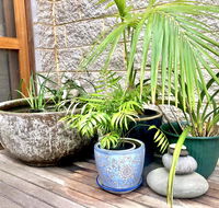 SEAeSCAPE Apollo Bay - Tourism Guide