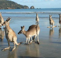 Seaforth Holiday Units - Tourism Guide