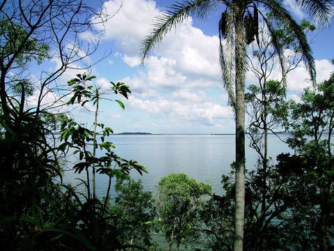 Seminara Apartments Coochiemudlo Island - Tourism Guide 1