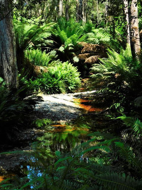 Shakespeare's Wilderness Chalet - Tourism Guide 3