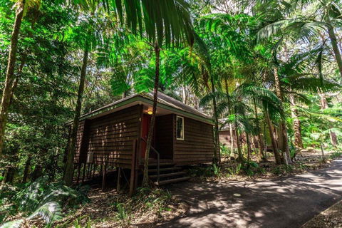 Songbirds Rainforest Retreat - Tourism Guide 2
