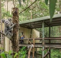 Springwood Meditation Centre - Tourism Guide