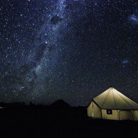 Starfields Luxury Camping - Cruises Travel 3