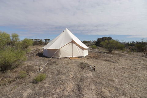 Starfields Luxury Camping - Cruises Travel 1