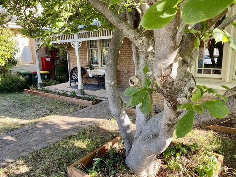 SUMMER HOUSE - CENTRAL LOCATION Near PARK - Cruises Travel 0