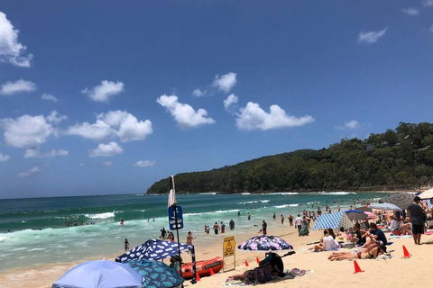 Sunshine Coast Cottage - Travel Search 3