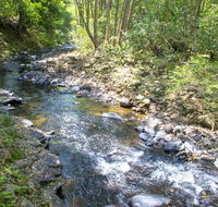 Tallaringa Views - Tourism Guide