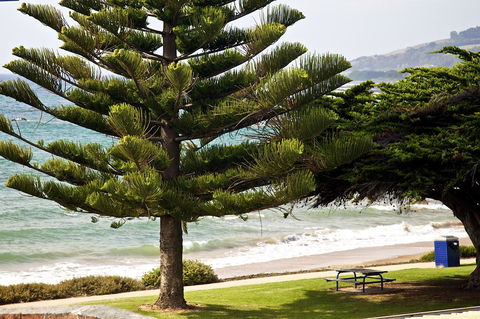 Penguin Beachfront Apartments - Travel Search 9
