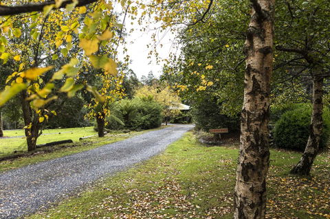 Cradle Forest Inn - Travel Search 36