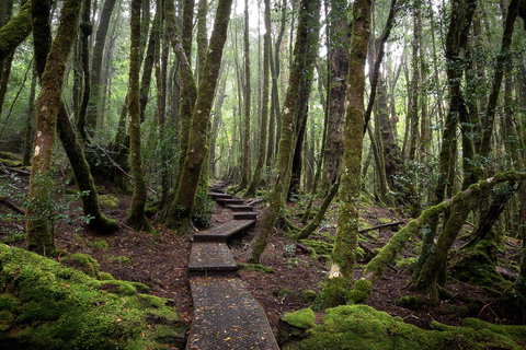 Peppers Cradle Mountain Lodge - Travel Agents 25