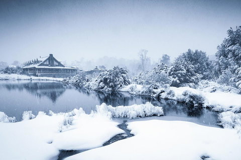 Peppers Cradle Mountain Lodge - Travel Agents 24