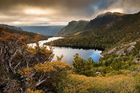 Peppers Cradle Mountain Lodge - Travel Agents 38