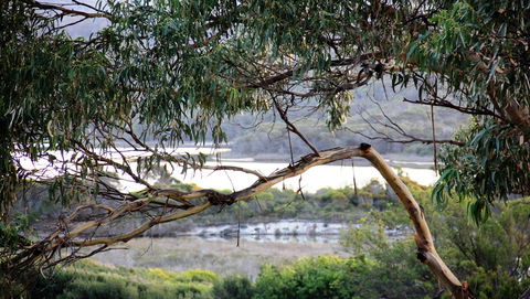 KINGFISHER COTTAGE Beachfront At The Binalong Bay - Tourism Guide 17