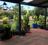 Blue Wren Bungalow - Travel Search