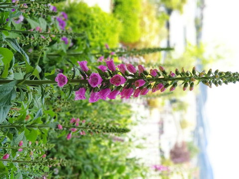 Orana House - Tourism Guide 16