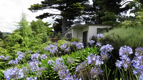 Tamar River Retreat - Travel Search 28