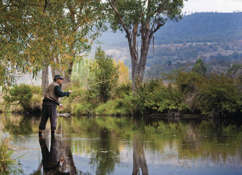 Platypus Playground Riverside Cottage - Travel Search 26