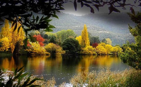 Platypus Playground Riverside Cottage - Travel Search 15