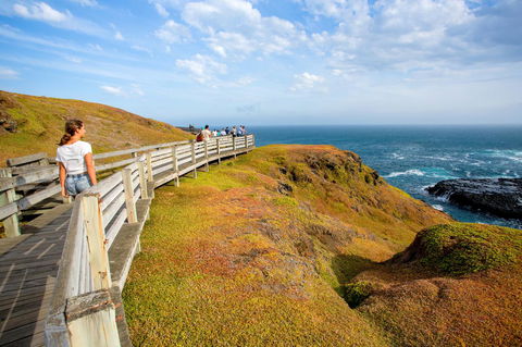 BIG4 Ingenia Holidays Phillip Island - Cruises Travel 19