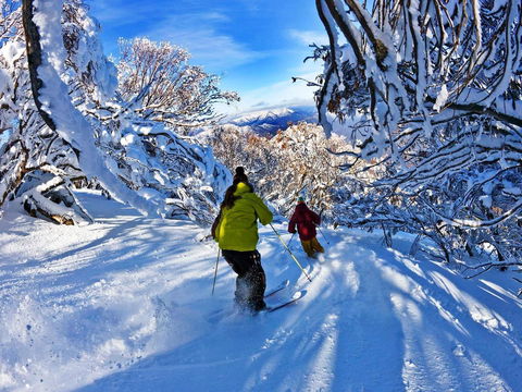 Buller Central Hotel - Tourism Guide 13