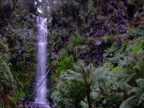 Great Ocean Road Resort - Travel Search 16