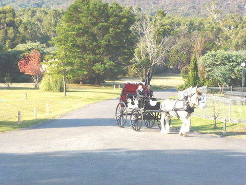 The Grampians Motel - Travel Agents 24