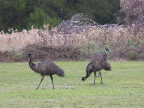 The Grampians Motel - Travel Agents 22