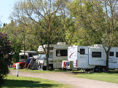 Tasman Holiday Parks - Geelong - Travel Agents 21