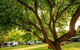 Discovery Parks - Bright - thumb 31