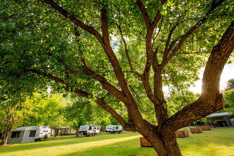 Discovery Parks - Bright - Travel Search 31