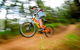 Discovery Parks - Bright - thumb 24