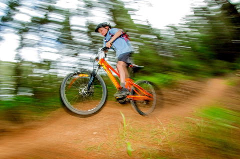 Discovery Parks - Bright - Travel Search 24
