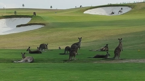 Yering Gorge Cottages - Travel Search 10