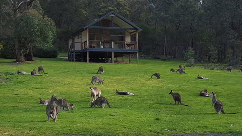 Yering Gorge Cottages - Travel Search 6