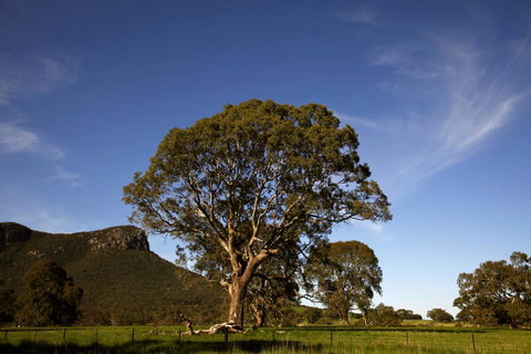 Dunkeld Studio Accommodation - Tourism Guide 23