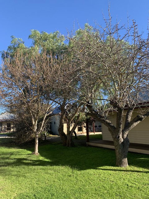 Dunkeld Studio Accommodation - Tourism Guide 4