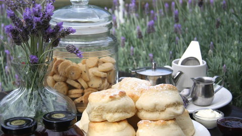 Nautique Beach House - Travel Agents 16