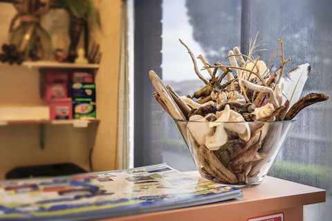 Allambi Holiday Apartments - Tourism Guide 22