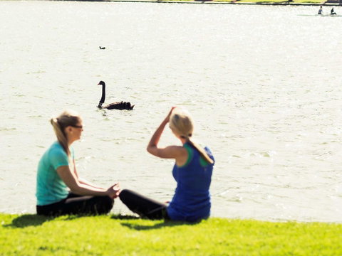 Mercure Melbourne Albert Park - Tourism Guide 39