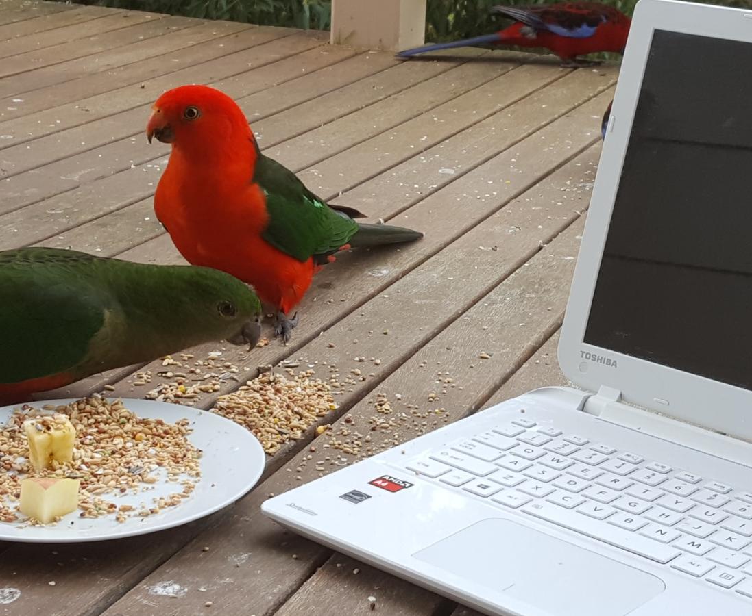 Wilsons Promontory VIC Tourism Guide