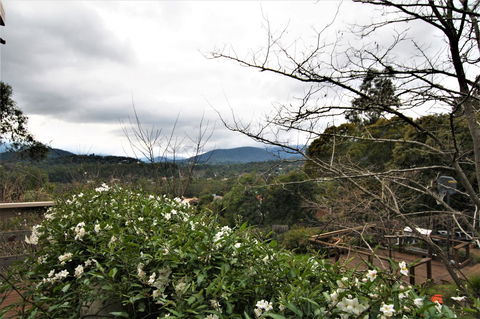 Hamptons In Healesville - Tourism Guide 13